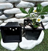 Resim Kare Saksı 50 Adet 9X9X8 Cm Üretim Saksısı Siyah Vakum Saksı 