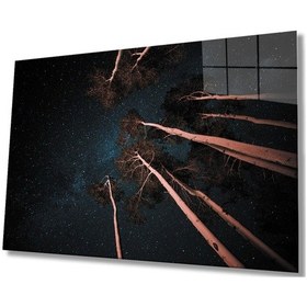 Resim Miyrem Glasses Collection -a1^ Ağaçlar Kahverengi Cam Tablo, Cam Tablo 