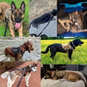 Resim 3 adet Taktik Köpek Kılıfları - Büyük ve Orta Boy Irk Pet Kolları, Açık Hava Yürüyüşü için, Elde Yıkanabilir, Köpek Güvenlik Ekipmanı|Dayanıklı Yapı|Ayarlanabilir Askı 