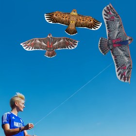 Resim 110.01 cm Büyük Kartal uçurtma, 30.0 metre uçurtma ipi ile, rastgele renk, açık hava plaj park spor uçurma keşfi için uygun 