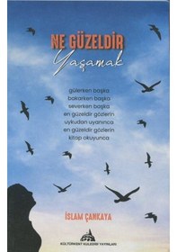 Resim Ne Güzeldir Yaşamak - İslam Çankaya - Kuledibi Yayınları 