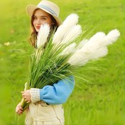 Resim 6-Head 2'li Suni Yeşil Bitkiler - Gerçekçi Beyaz Pampas Çimi Ev ve Dış Mekan Dekoru için, Bahçe, Veranda, Teras, Oturma Odası için Mükemmel - Yıl Dönümleri, Tatiller, Anneler Günü, Mezuniyet, Ev Açılışı Hediyeleri, Düğün Sezonları, Düğün Dekoru için İdeal | Doğal Görünüm | Bakıma Gerek Olmadan, Pampas Çimi Dekoru 