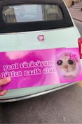 Resim Namgo Üzgün Hamster Araba Magnet Aksesuar 