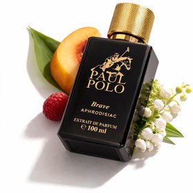 Resim PAUL POLO Brave Aphrodisiac Etkili Erkek Parfüm Edp 100 ml 