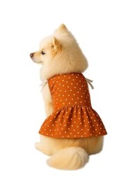 Resim 101Dzyn Kedi Ve Köpek İçin Puantiyeli Elbise Xl Kiremit Rengi 19-0303 