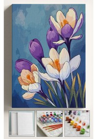 Resim Sayılarla Boyama Seti Çerçeveli Hobi Seti Tuval Fırça Boya Kasnaklı Set 40x50 Cm Mor Çiğdem 