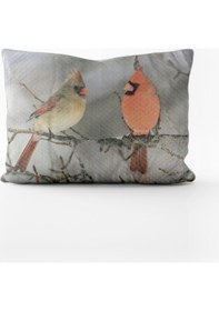 Resim Paradero Kardinal Kuşları Yastık Kılıfı 