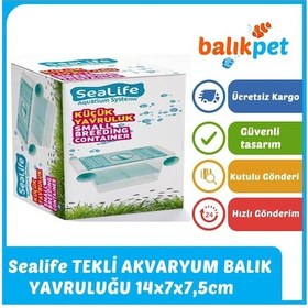 Resim Küçük Akvaryum Balık Yavruluk Yavruluğu 14 5x7x7 5cm 