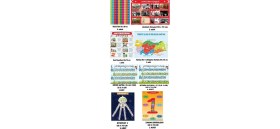 Resim Prime Concept Dev Okul Seti 8 Parça Vinil Baskı ( Ataturk Köşesi,harita,ritmiktablo,sınıfkuralları,zamanbirimleri 