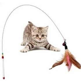 Resim Kedi Oyun Oltası 