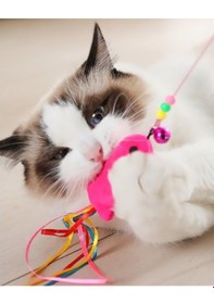 Resim Balıklı Kedi Oyun Oltası Çok Renkli 