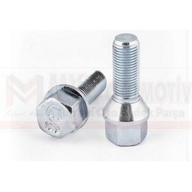 Resim Bıjon Saplaması Fıorıno Lınea Doblo 17 Mm 