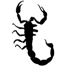 Resim Akrep Folyo Sticker 50cm Uzunluk Siyah 