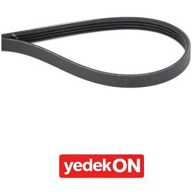 Resim AGCO Çoklu Kanatlı Kayış - Valtra | V685041022 