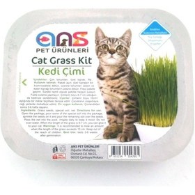 Resim Ans Kedi Çimi 