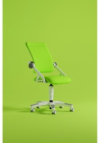 Resim Creo Mobili Yükseklik Ve Sırt Ayarlı Sirius Çalışma Sandalyesi Ofis, Bilgisayar Koltuğu Yeşil/yeşil Gri 