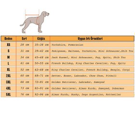 Resim Galaksi Yeşil Köpek Kıyafeti - XS 