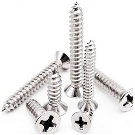 Resim 5x60 Mm Galvanizli Sunta Ve Ağaç Vidası 500 Adet 