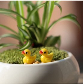 Resim Sones Adet Mini Bebek Evi Aksesuarları Reçine Üç Boyutlu Küçük Sarı Ördek Bitki Dekorasyonu 