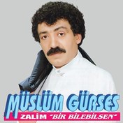 Resim Müslüm Gürses - Zalim - Bir Bilebilsen Plak 