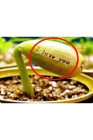 Resim hediyecik Magic Egg - Sihirli Yumurta 