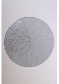 Resim Digithome 6 Lı Amerikan Servisi Supla Yuvarlak Gümüş 38 Cm Thn76973 C1-1-18 Gümüş 