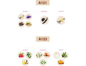 Resim Bacera Perfüme Bacera A121 Floral Kadın Parfüm 50ML Edp A123 Floral Kadın Parfüm 50ML Edp 