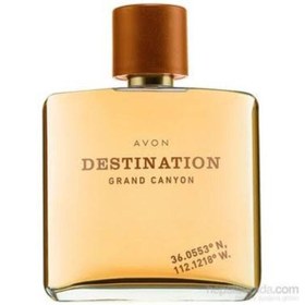 Resim Avon Wilderness Horizon Destination Grand Canyon Edt 75 ml Erkek Parfüm 