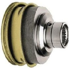 Resim Anka 51509 - Aks Lalesi Üçgen Tip R19 