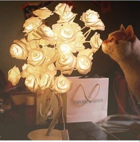 Resim Novahub Gül Başucu Gece Lambası Kız Kalp Odası Dekorasyon Masa Lambası, Ac 220v Diğer 