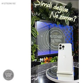 Resim Apple iPhone 13 Pro Max İkinci El YD | 256 GB | Gümüş 