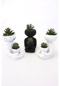 Resim Succulentli Buda Heykeli Trend Model 3lü Set 