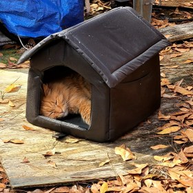 Resim All-Weather Yalıtımlı Açık Hava Kedi Evi - Su Geçirmez, Katlanabilir, Feral Kediler İçin Oxford Bez Tasarımı, Yabancı Hayvan Barınağı, Sıcak ve Rahat, Tüm Hava Koşulları İçin İdeal, Kedi Barınağı|Klasik Tarz|Hava Koşullarına Dayanıklı Kapak, Kedi Evleri 
