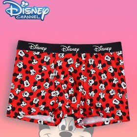 Resim 1 Adet Disney Karakter Baskılı Erkek İç Çamaşırı - Yumuşak ve Rahat, Harfli Elastik Bel, Günlük Kullanım 