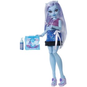Resim Monster High Güzellik Sırları Abbey JHK44 
