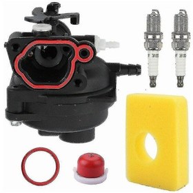 Resim Briggs Stratton 300e, 450e, 500e, 550e, 575e, 600e Motorları İçin Karbüratör Karbüratör Kiti Mükemmel 