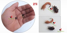 Resim Baracuda İtaly kancalı yapay yem 2 li 