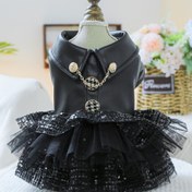 Resim 1 adet Işıltılı Dantelli Mini Deri Etek - Polyester Örgü Kumaş, Yalnızca El Yıkama, Klapa Kapatma, Tüm Mevsimler İçin Küçük Irk Pet Giysileri, Teddy, Bichon, Pomeranian, Yavru Köpek, Yavru Kedi 