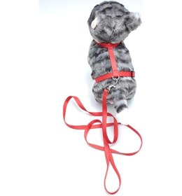 Resim Kedi Düz Göğüs Tasması Ve Gezdirme Seti Ps9641 