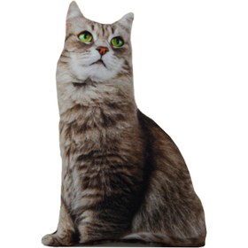 Resim Romeo 3D Kedi Yastık 