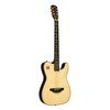 Resim Jazz EW3000 CN - J.N Elektro Akustik Gitar 