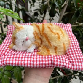 Resim Gerçekçi Yavru Kedi, Canlı Görünüm, Ev ve Araba Süsleri, Kız Arkadaş Hediyeleri, Doğum Günü Hediyeleri, Yıldönümleri, Noel, Şükran Günü ve Yeni Yıl Hediyeleri 