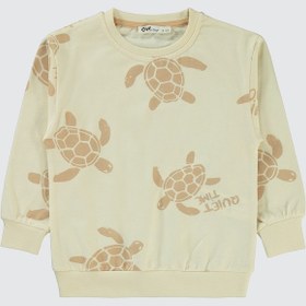 Resim Civil Boys Erkek Çocuk Sweatshirt 2-5 Yaş Fil Dişi Fil Dişi Çok Renkli 