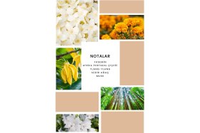 Resim Ixora K080 Apex Kadın Parfüm 100 ml EDP 