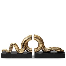 Resim Altın Yılanlı Kitap Desteği 