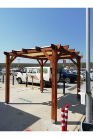 Resim mnbe ticaret 100 Lük Rozetli Krom Pergule Pergola Kamelya Sundurma Ayak Paslanmaz Ağaç Metal Taşıyıcı 