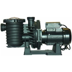 Resim Superpool 2 Hp Monofaze Scpa Serisi Havuz Pompa 