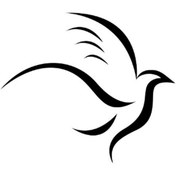Resim Kıvırcıkyoga Uçan Kuş Oto Motor Laptop Duvar Folyo Sticker 25x20 cm 