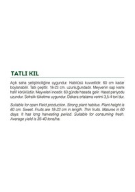 Resim Ata Tohumu Yöresel Tatlı Kıl Sivri Biber 100 Adet Tohum 