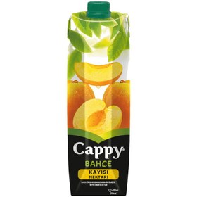 Resim Cappy Kayısı Meyve Nektarı 1 L 